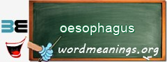 WordMeaning blackboard for oesophagus